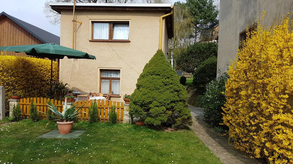 바트샨다우 Ferienhaus Richter 빌라 외부 사진