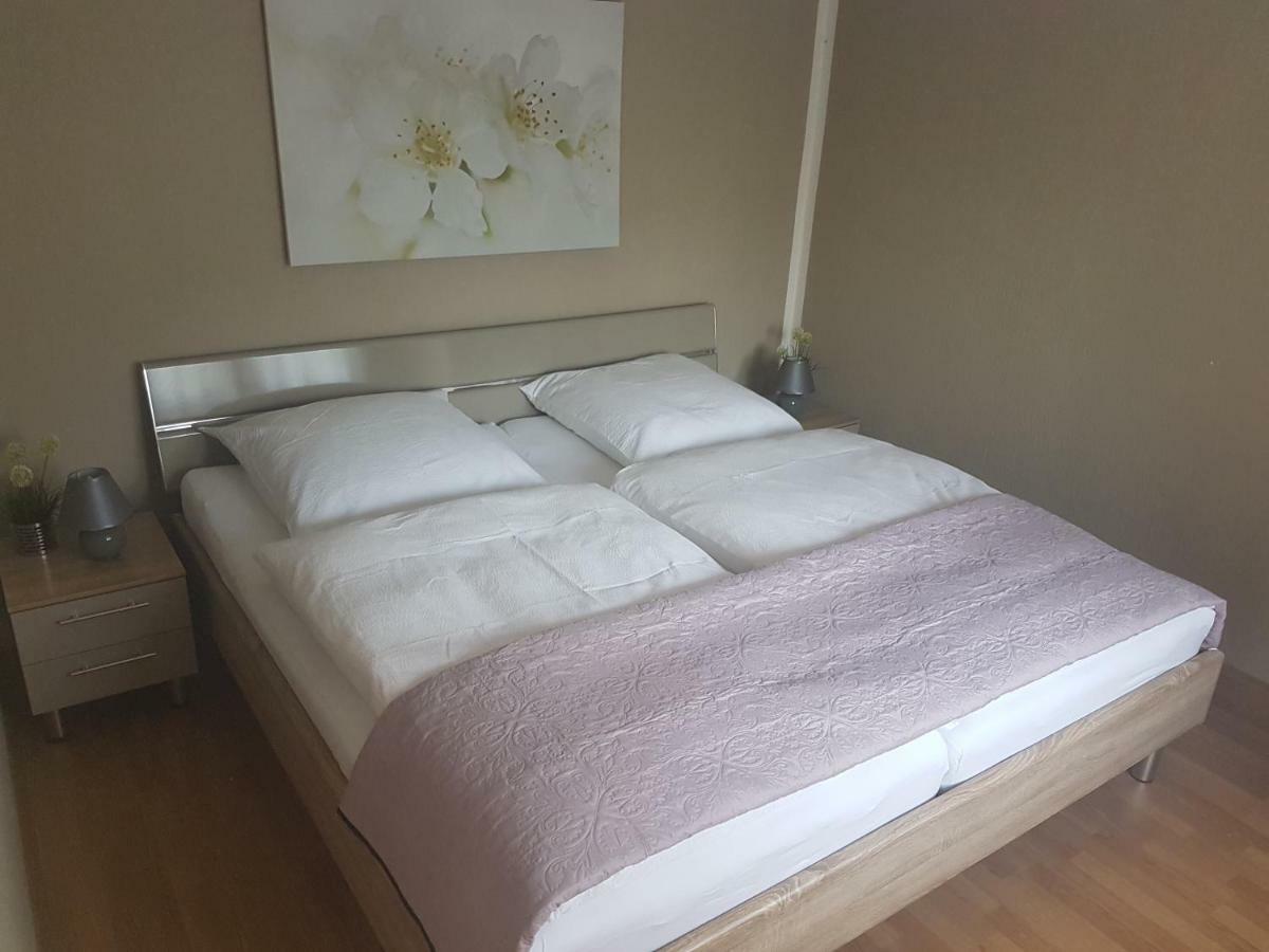 바트샨다우 Ferienhaus Richter 빌라 외부 사진